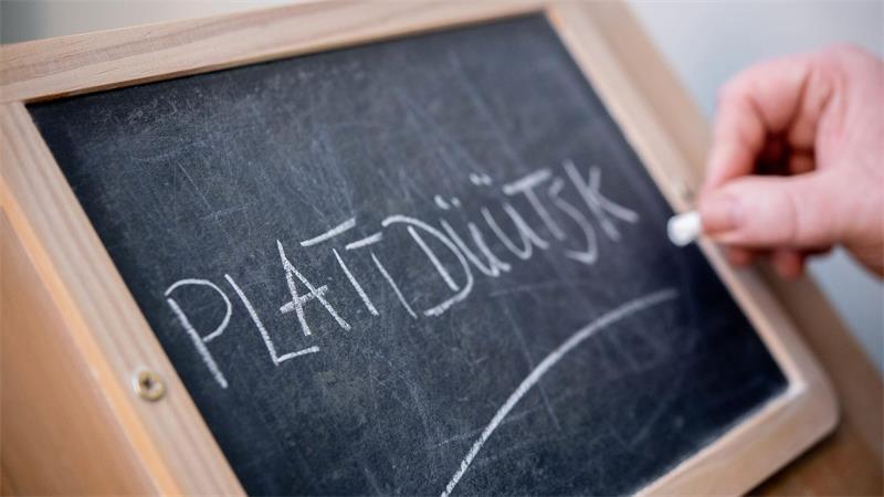 Kann Künstliche Intelligenz kleine Sprachen retten? Niederdeutsch, auch Plattdeutsch genannt, ist als Regionalsprache in Deutschland anerkannt und geschützt.