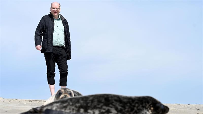 Niedersachsens Umweltminister Meyer, hier bei einer Auswilderung von Kegelrobben, fordert mehr Einsatz für den Schutz der Meere. (Archivbild)