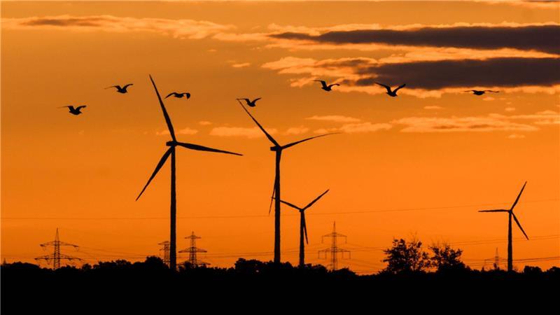 Niedersachsens Windenergiebranche fürchtet um den Wegbruch von Investitionen in Milliardenhöhe. (Symbolbild)