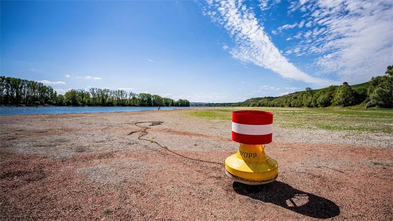 Niedrigwasser am Rhein: Eine Tonne für die Schifffahrt liegt bei Nierstein auf dem Trockenen. 