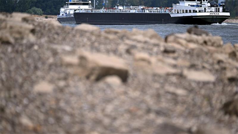 Niedrigwasser legt Steine im Rhein frei – Branche berät über Folgen