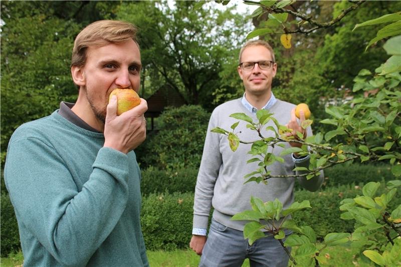 Krautsand: Apfelernte für den guten Zweck Nils Breß (links) und Thorge Meyer vom Amt für regionale Landesentwicklung freuen sich über die Kooperation mit dem Verein „Das Geld hängt an den Bäumen“. An den nächsten zwei Wochenenden kann auf Krautsand geerntet werden.