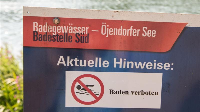 Badeverbot wegen Blaualgen im Öjendorfer See Nix mit Schwimmen: Im Öjendorfer See ist das Baden vorerst verboten. (Archivbild)