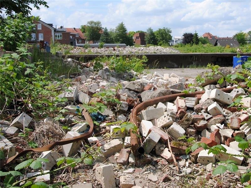 Noch Brachland: Die gut 20 000 Quadratmeter Baugrund nahe der Stader Innenstadt auf dem Gelände des ehemaligen Mineralölwerks.
