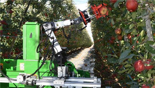 Noch Zukunftsmusik auf den Plantagen: Apfel-Ernte-Roboter der Washington State University bei einem Versuch.