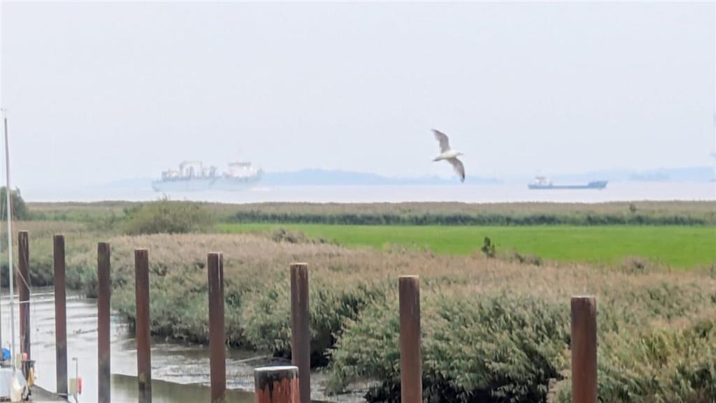 Noch ein Bild von Krautsand - von Ute.