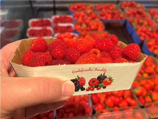 Noch gibt es deutsche Himbeeren in den Supermärkten, doch die Bundesfachgruppe Obstbau fürchtet angesichts steigender Lohnkosten um den heimischen Beerenobstanbau. Foto: Vasel