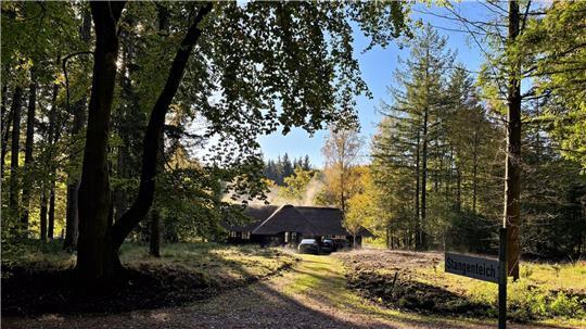 Noch liegt der Wald in Privatbesitz. (Archivbild)