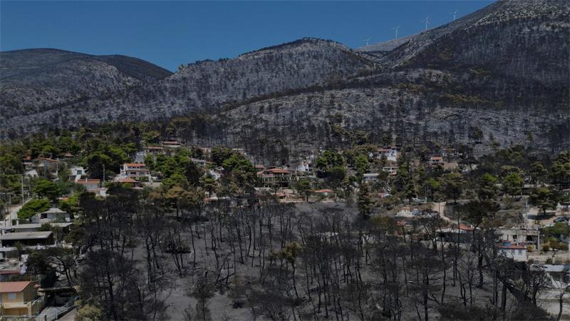 Waldbrände bei Athen: Die Schadenserhebung beginnt Noch steht nicht genau fest, wie viel Fläche verbrannt ist - es könnten bis zu 200 Quadratkilometer sein.