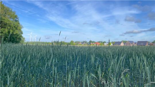 Noch wird die gesamte Fläche als Acker genutzt. „Auf dem Besenriede" will die Gemeinde Himmelpforten ein neues Baugebiet entwickeln. Um den Flächenankauf gibt es Ärger.