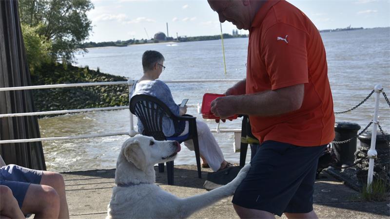 Kaffeeklappe an der Elbe: Hier fühlen sich Mensch und Tier pudelwohl „Nun gib' schon“, scheint Finne zu Ralf Exner zu sagen. Der reagiert prompt.