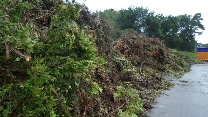 Plastik im Grünabfall: Landkreis Stade schlägt Alarm Nur Gras- und Heckenschnitt? Mehr und mehr finden sich Fremdstoffe im Stader Grünmüll.