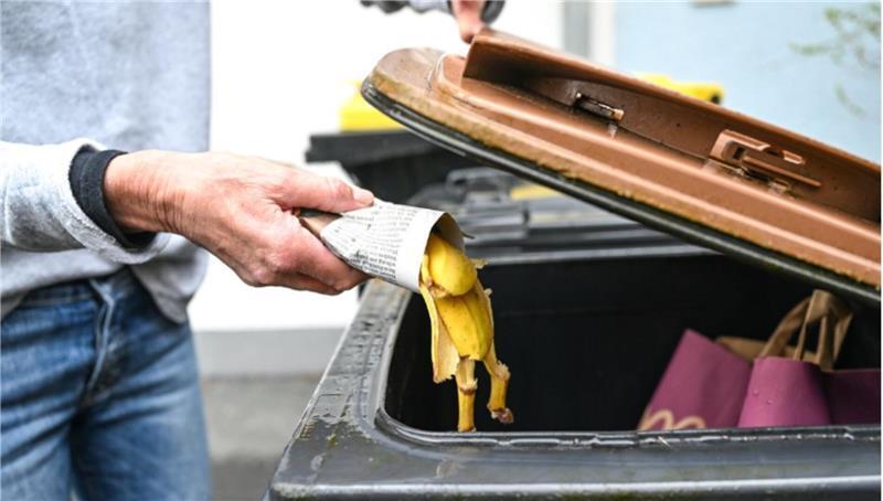 Nur in kleinen Mengen ein Fall für den Kompost: Wer sichergehen will, wirft Bananenschalen lieber in die Biotonne.