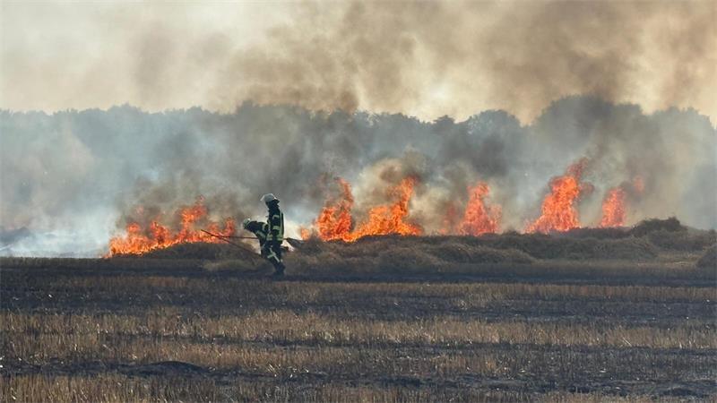 Nur mit schwerem Atemschutzgerät konnten die Flammen gelöscht werden.