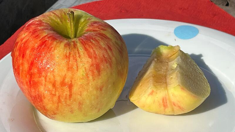 Fachgruppe Obstbau sauer über Bio-Zwang - Minister in der Kritik Ein Apfel und ein angeschnittener Apfel liegen auf einem Teller.