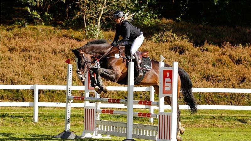 Fiese Attacke beim Ausritt: Hunde beißen sich in Pferden fest Ob sie wieder mit den Pferden Springturniere reiten kann, weiß Christina Sakowski noch nicht.