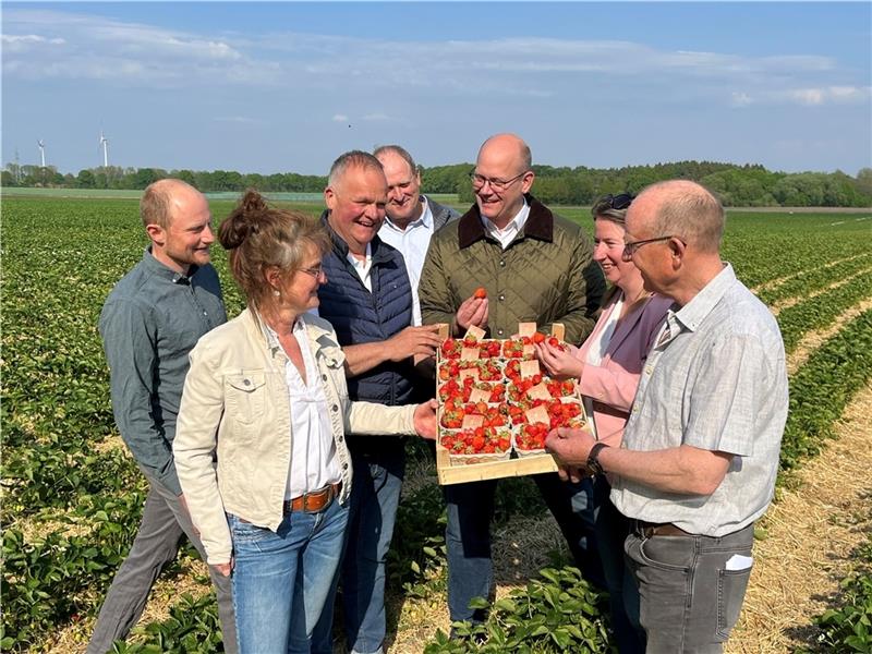 Obstbau im Gespräch mit der Landespolitik: Jonas Cohrs, Heike Cohrs, Claus Schliecker, Thomas Feindt, Dr. Marco Mohrmann (CDU), Birgit Butter (CDU) und Werner Cohrs probieren die Erdbeer-Frühsorte Flair (von links). Corina Lange (SPD) und P