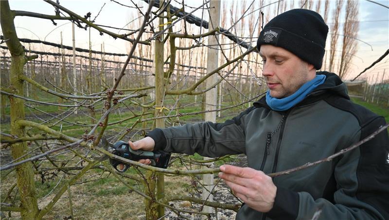 Obstbauer Karsten Palm bewirtschaftet einen 22 Hektar großen Betrieb in Moorende.