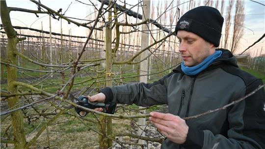 Obstbauer Karsten Palm bewirtschaftet einen 22 Hektar großen Betrieb in Moorende.