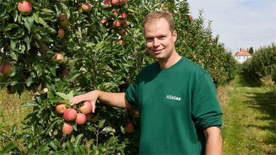Obstbauer Niklas Eckhoff steht in seiner Apfelplantage vor einem Baum der Sorte Gala.