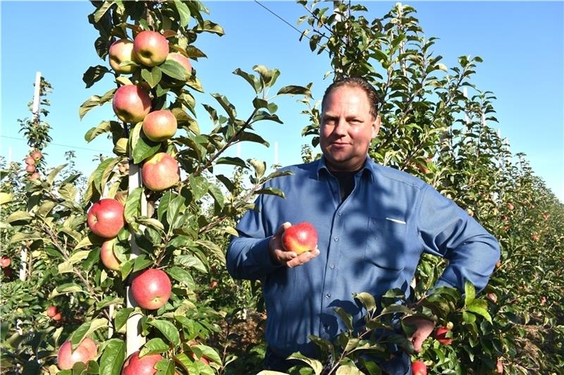 Obstbauer Thorben Sumfleth hat rund 3000 Bäume der neuen Apfelsorte Deichperle gepflanzt. Foto: Vasel