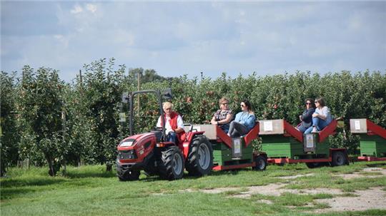 Obstbauer Wilhelm Matthies fährt Besucher durch die Apfelplantagen.