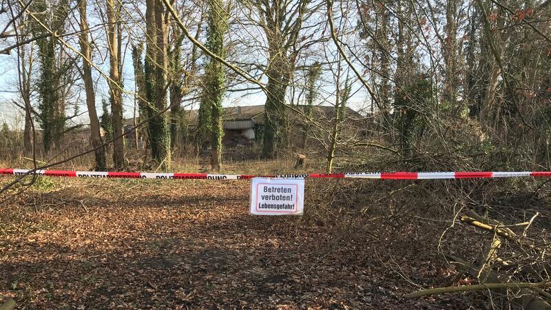 Obwohl der Steinmetz-Park Privatgrundstück ist, machen sich immer wieder Unbekannte an den Bäumen zu schaffen.