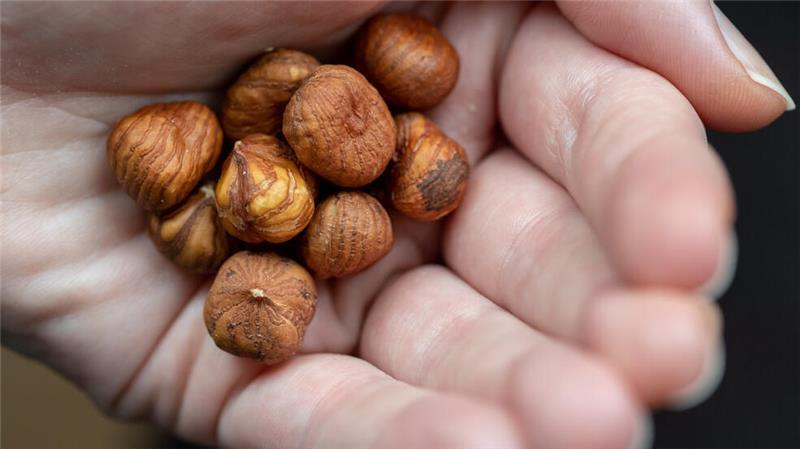 Haselnüsse liegen in einer Hand.