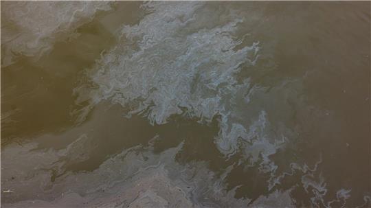 Ölschlieren ziehen sich auf der Elbe. (Symbolbild)