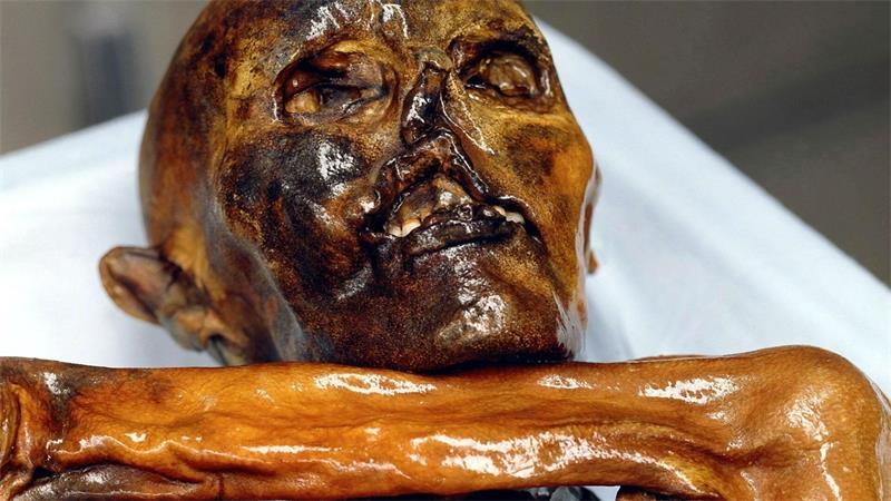 Irrweg als Glücksfall: Wie Ötzi zur Weltsensation wurde Ötzi ist aus Sicht der Wissenschaft ein faszinierendes