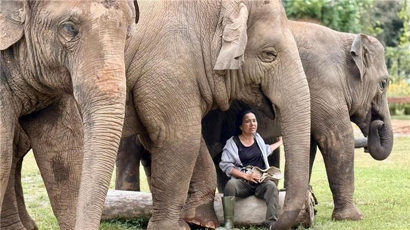 Die Elefantenflüsterin von Chiang Mai Oft singt Lek ihren Elefanten Schlaflieder, um sie zu beruhigen.