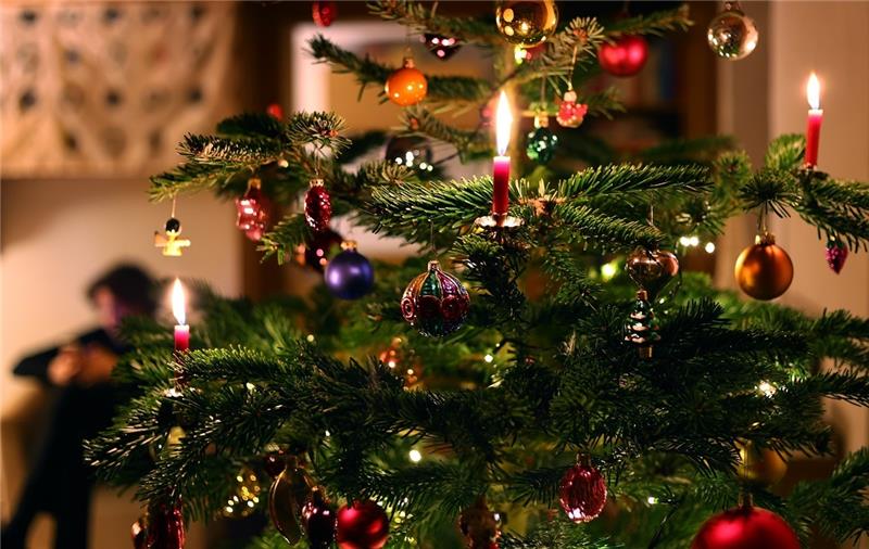 Oh du schöner Weihnachtsbaum - aber bald nicht mehr. Auch wenn er jetzt nach und nach vertrocknet, er kann noch eine zweite Karriere starten. Foto: Karl-Josef Hildenbrand/dpa/dpa-tmn