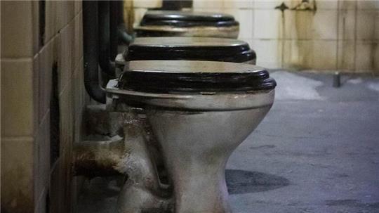 Ohne Rückstausicherung könnte das Abwasser z.B. aus Toiletten austreten (Symbolbild).