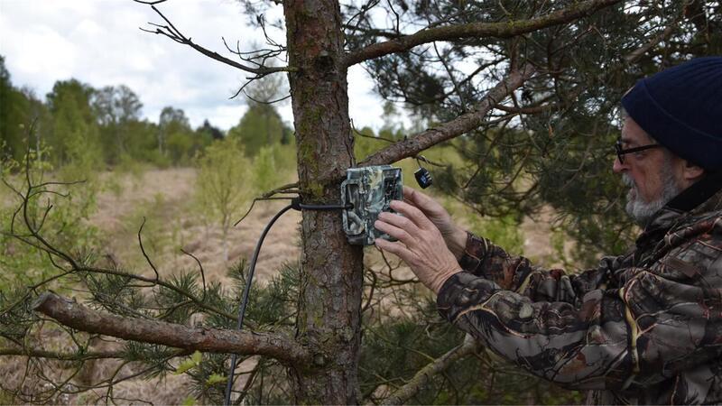 Olaf Kuball vertraut auf seine Erfahrung, wenn er die Fotofallen aufhängt. Die Wölfe bevorzugen bestimmte Wege im Naturschutzgebiet. 
