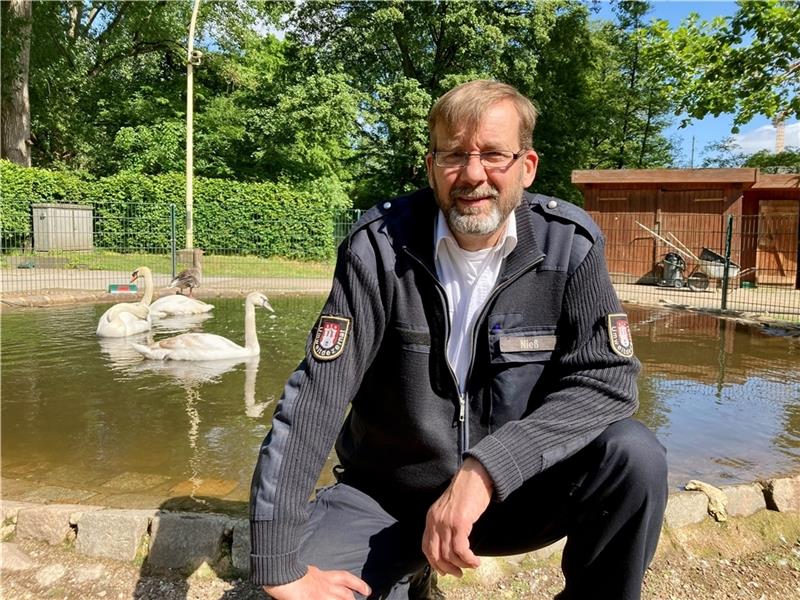 Olaf Nieß: „Solange Schwäne auf der Alster leben, ist Hamburg frei“ Olaf Nieß ist seit 27 Jahren Hamburgs Schwanenvater. Hauptsächlich ist er aber für Tierrettung zuständig. Foto: Lorenz