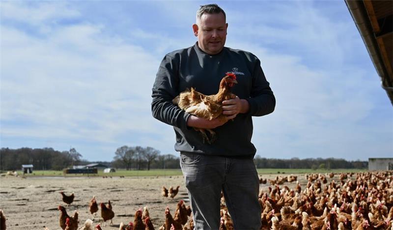 Landwirte öffnen ihre Höfe: Von Kürbisglück bis Premium-Haltung Oliver Holtermann zeigt seine vom Tierschutzbund zertifizierte Premium-Haltung für Hühner in Harsfeld.