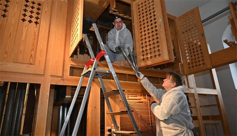 Orgelbaumeister Martin ter Haseborg reicht seinem Kollegen Bokor László Zoltán einige Pfeifen in die Orgel (von rechts). Das Instrument in Horneburg wird von Spinnweben, Schimmel und Staub gereinigt.