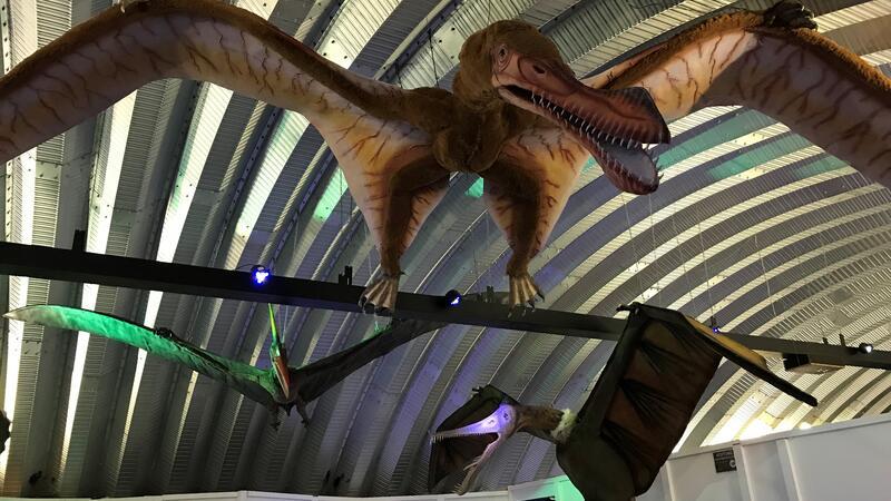 Ornithocheirus, Cearadactylus und Pteranodon schweben bereits in der Bogenhalle.