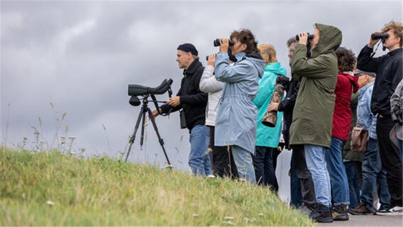 Ornithologe Dr. Egbert Höft zeigt den Tour-Gästen, was im Außendeich an der Elbe an Zugvögeln rastet.
