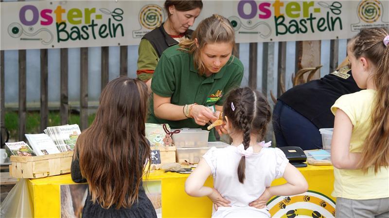 Ausflugstipps: Was Familien im Kreis Stade zu Ostern unternehmen können Osterbasteln an Karfreitag im Wildpark Schwarze Berge.