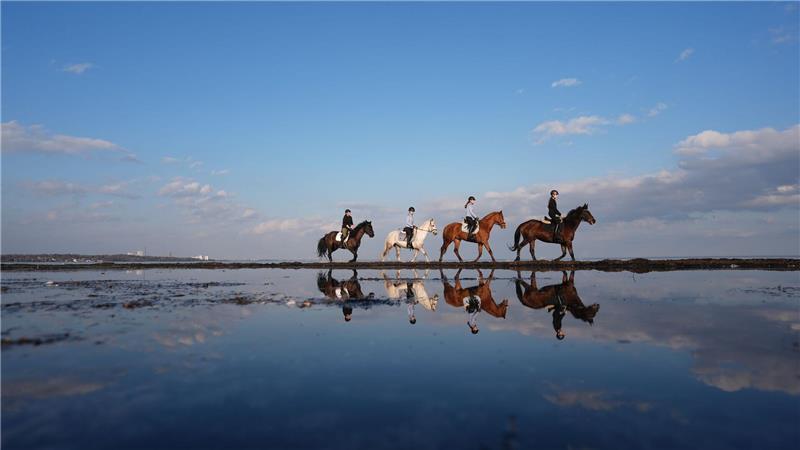 Ostseereiter am Strand