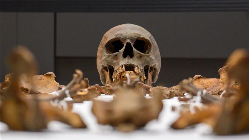 Otto der Große im Hörsaal der Uni Mainz: Neue Erkenntnisse aus seinem Grab vorgestellt