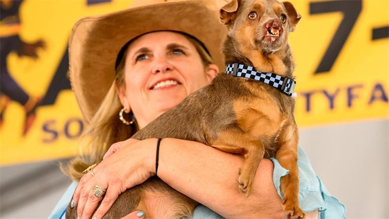 Mops-Hündin Jinny Lu ist „hässlichster Hund der Welt“ Otto schaffte es auf den dritten Platz.