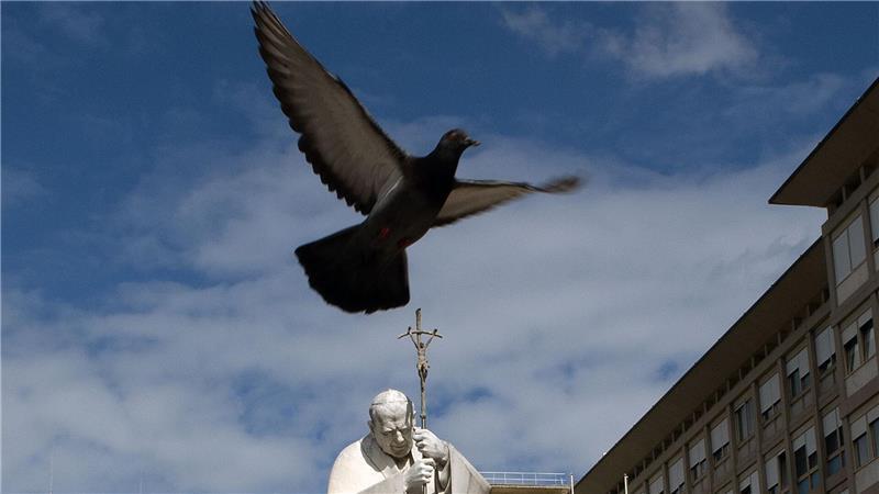 Papst Franziskus im Krankenhaus: Eine Taube fliegt vor der Statue von Johannes Paul II. vor der Poliklinik Agostino Gemelli.