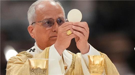 Papst Leo XIV. ist seit bald einem Jahr im Amt.