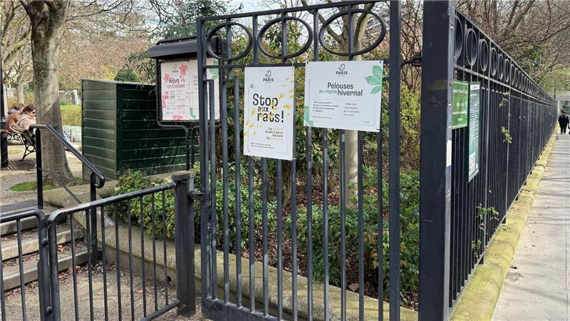 Parkanlagen, unterirdische Schächte und die Kanalisation sind bevorzugte Lebensräume der Pariser Ratten.