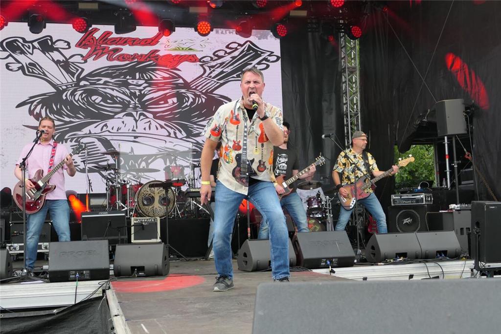 Partygrößen wie Mickie Krause spielten vor 4000 Besuchern beim Elbstrandfestival...