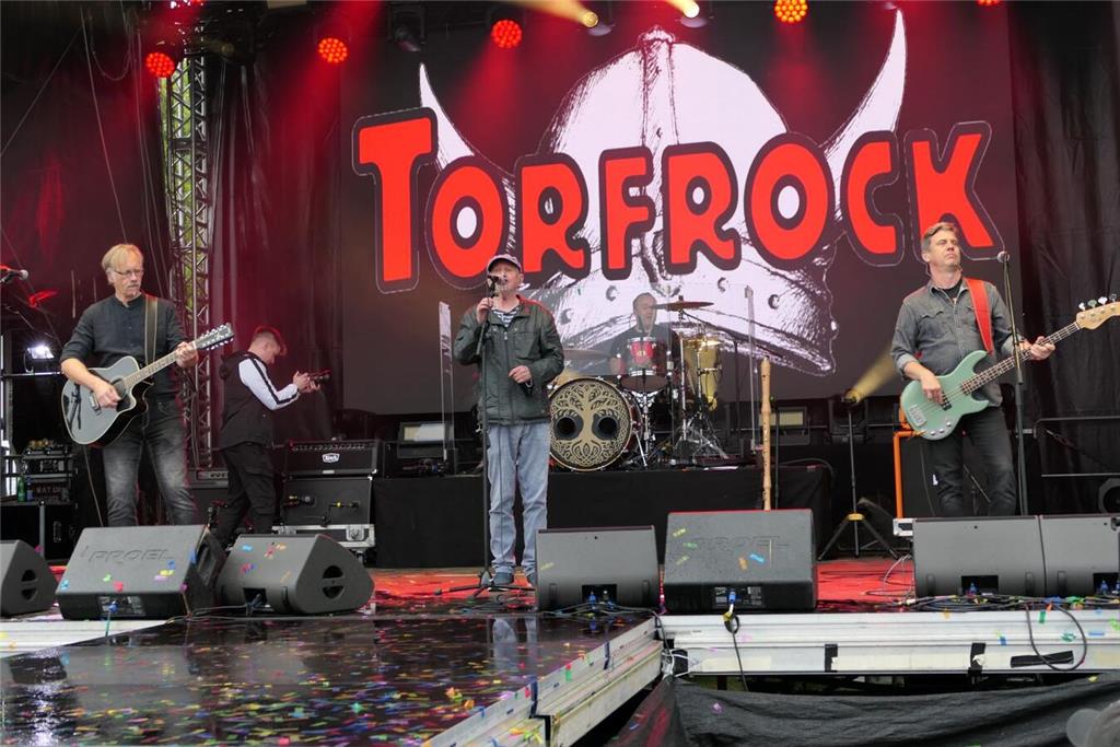 Partygrößen wie Mickie Krause spielten vor 4000 Besuchern beim Elbstrandfestival...