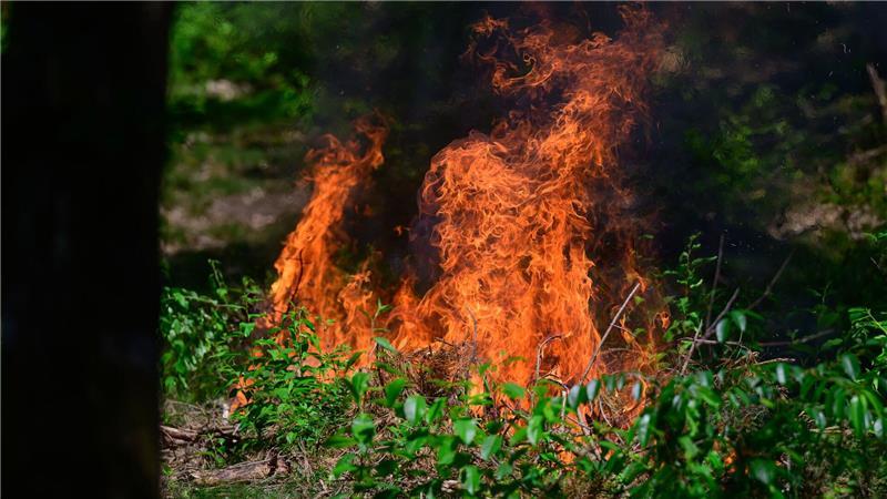 Passanten hatten Rauch bemerkt und einen Notruf abgesetzt. (Symbolbild)