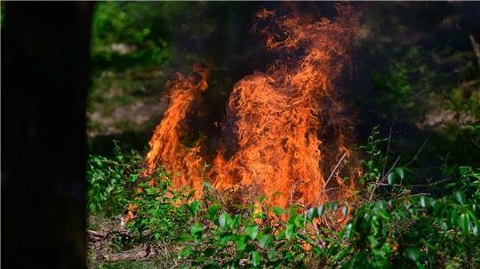 Passanten hatten Rauch bemerkt und einen Notruf abgesetzt. (Symbolbild)